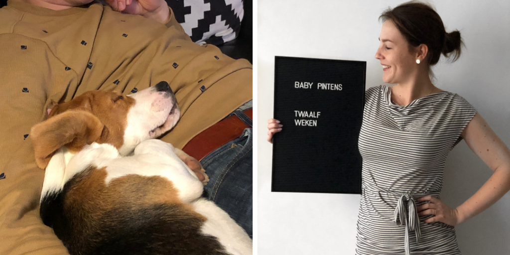 Dit was januari 2019 - Evi Driesen