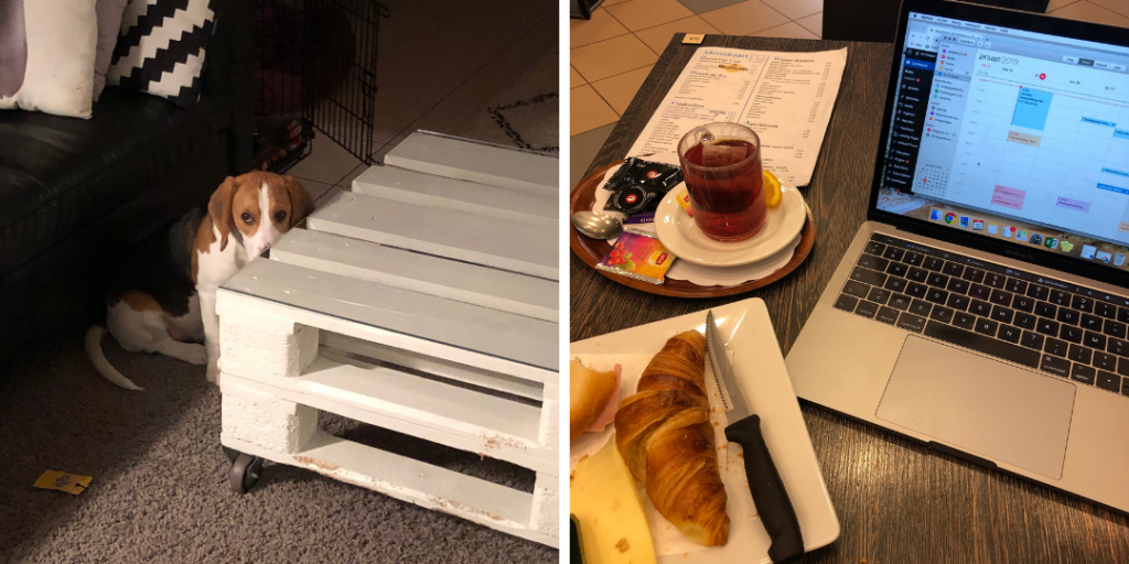 Dit was januari 2019 - Evi Driesen