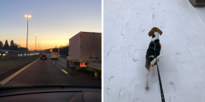 Dit was januari 2019 - Evi Driesen