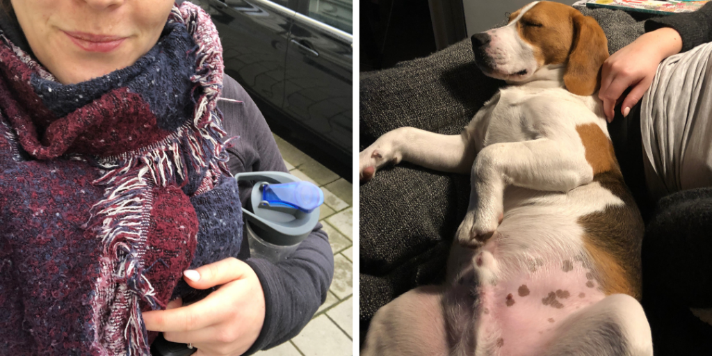 Dit was maart 2019 - Evi Driesen