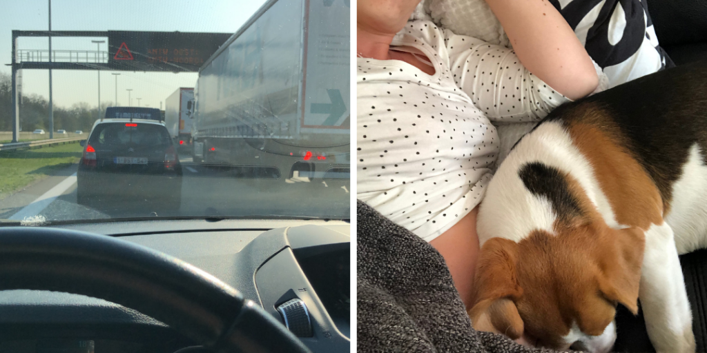Dit was april 2019 - Evi Driesen