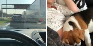 Dit was april 2019 - Evi Driesen