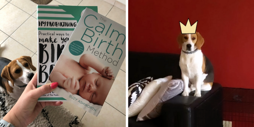 Dit was april 2019 - Evi Driesen