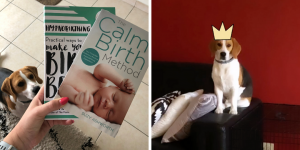 Dit was april 2019 - Evi Driesen