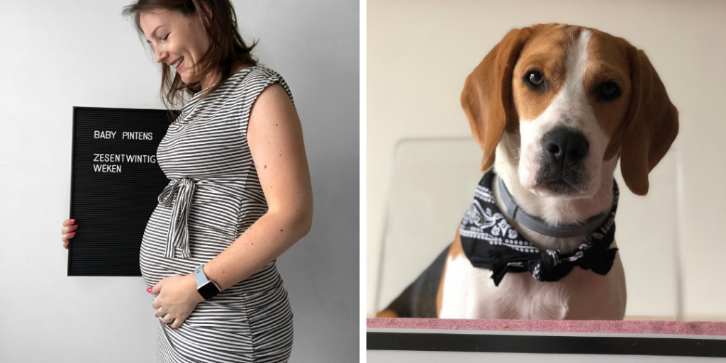 Dit was april 2019 - Evi Driesen