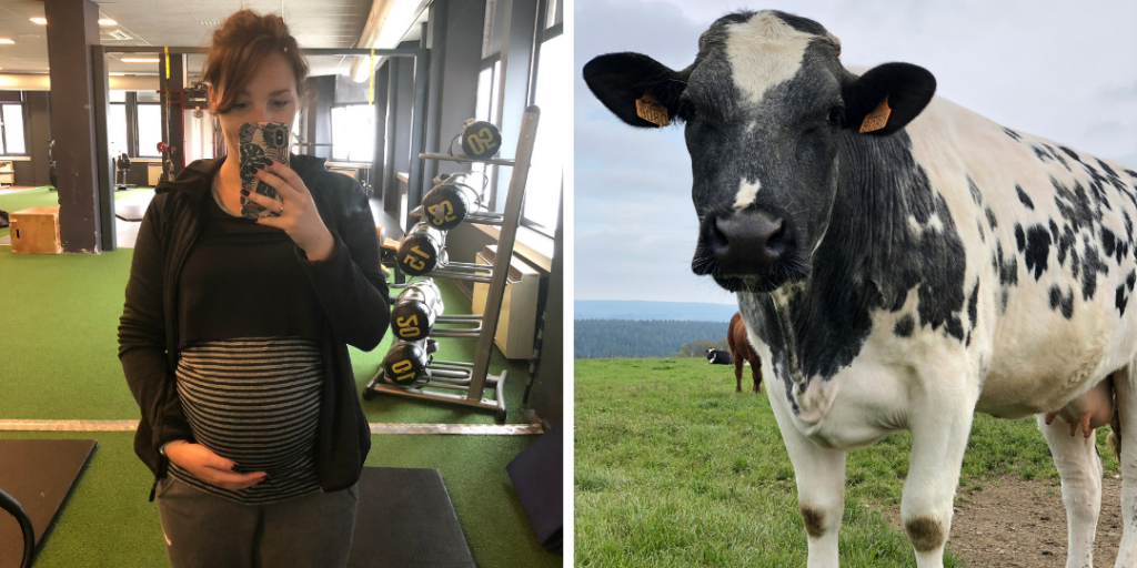 Dit was mei 2019 - Evi Driesen