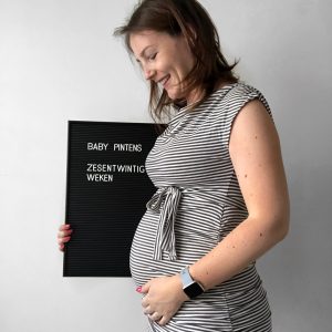 Zwangerschapsupdate 6 - Evi Driesen