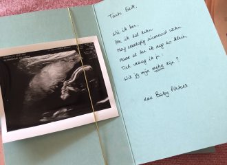 Zwangerschapsupdate 6 - Evi Driesen